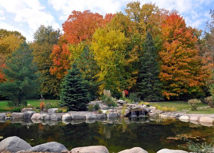 Autumn pond with stone edging and colorful trees by Midwest Turf and Landscape